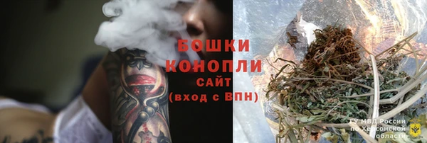 ECSTASY Дмитриев