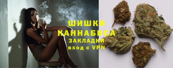 дурь Дмитровск