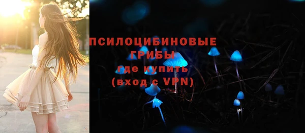 метамфетамин Ельня