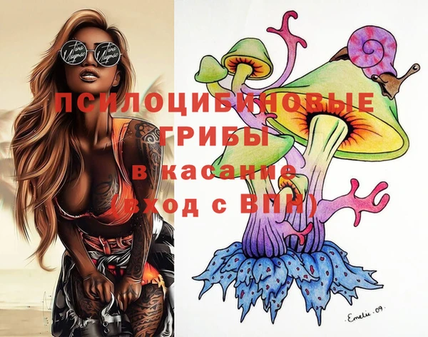 дурь Дмитровск