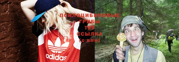 первитин Дмитров
