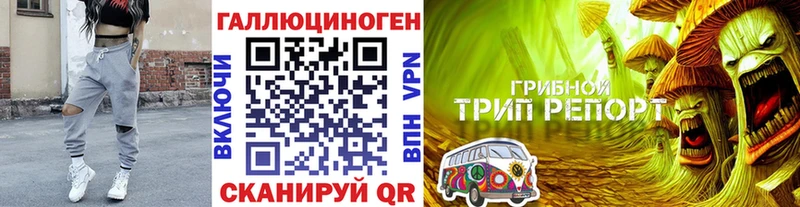 hydra ССЫЛКА Октябрьск Галлюциногенные грибы Psilocybine cubensis